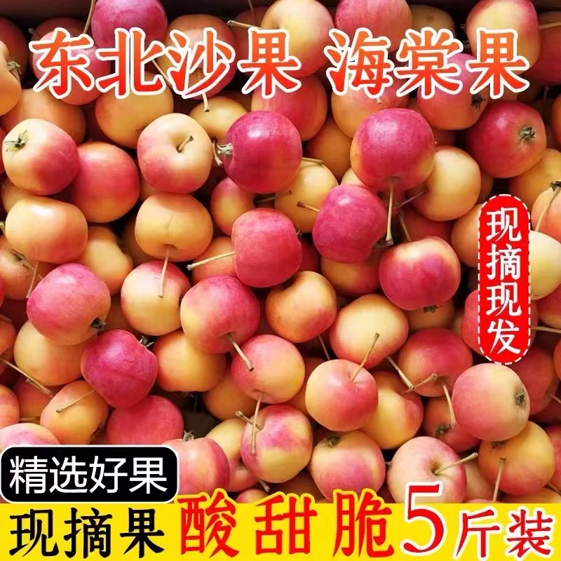 东北梨树沙果黄海棠红海棠酸甜口感5斤【顺丰包邮】