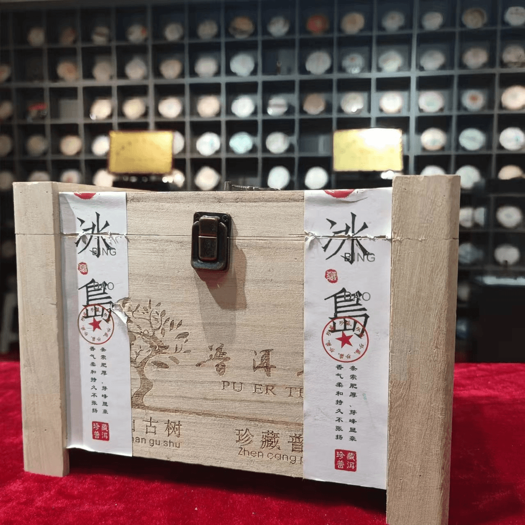 2023年冰岛春茶500克 普洱散生茶