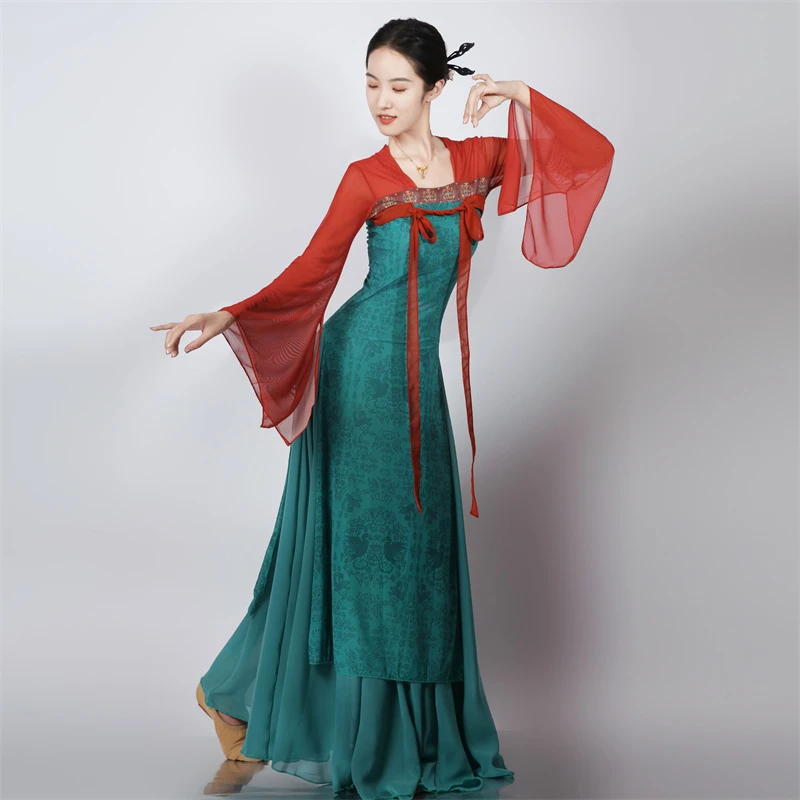 古典舞舞蹈服女飘逸中国汉唐齐胸表演练功飘带身韵长款演出服纱衣