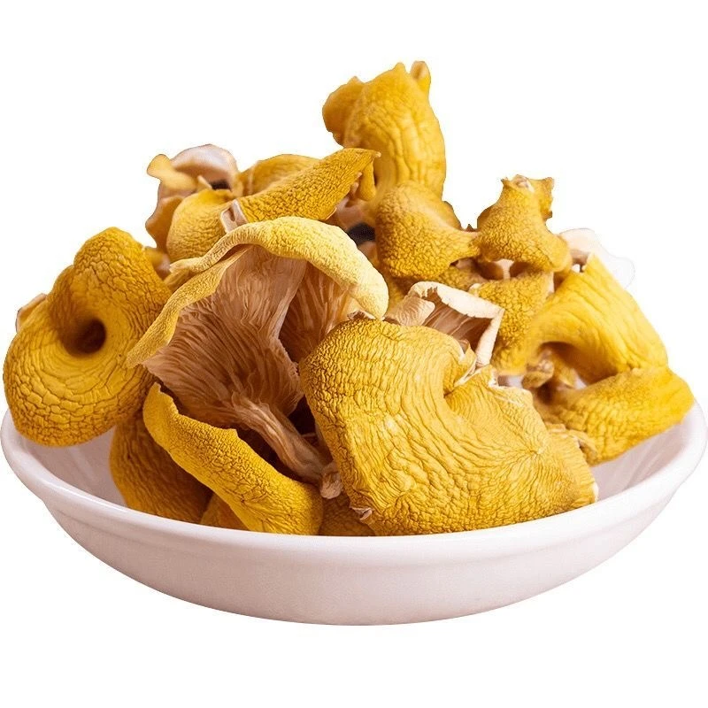 鸡油菌黄金菇干货食用菌200g装