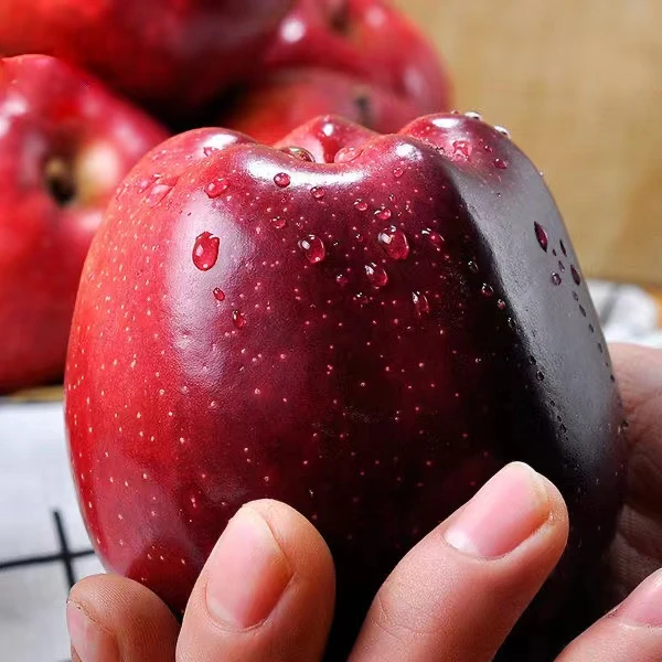 【粉糯香甜】甘肃天水花牛苹果 当季新果 蛇果 辅食 新鲜采摘 5/9斤