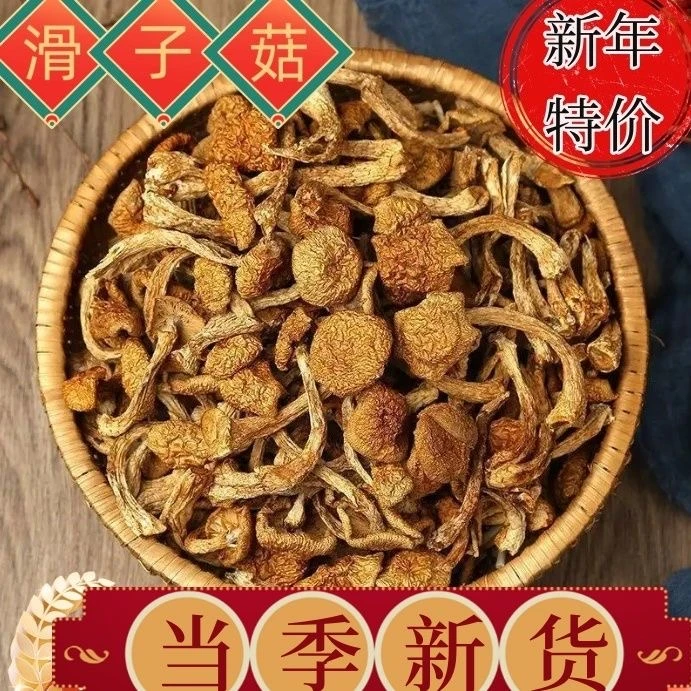 高山自然生长滑子菇100g/250g珍珠菇食用菌