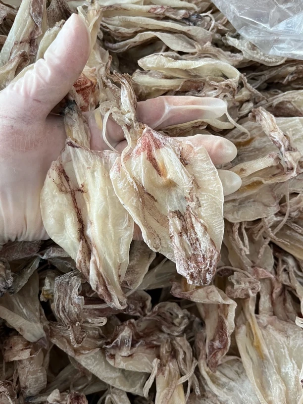 汕尾马宫本港就船晒的小鱿鱼干