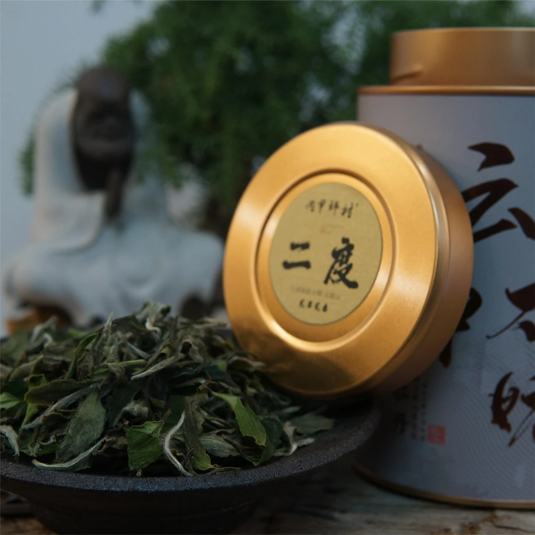 内甲坪村云栖二度2023年罐装明前花香白牡丹太姥山高山高海拔白茶