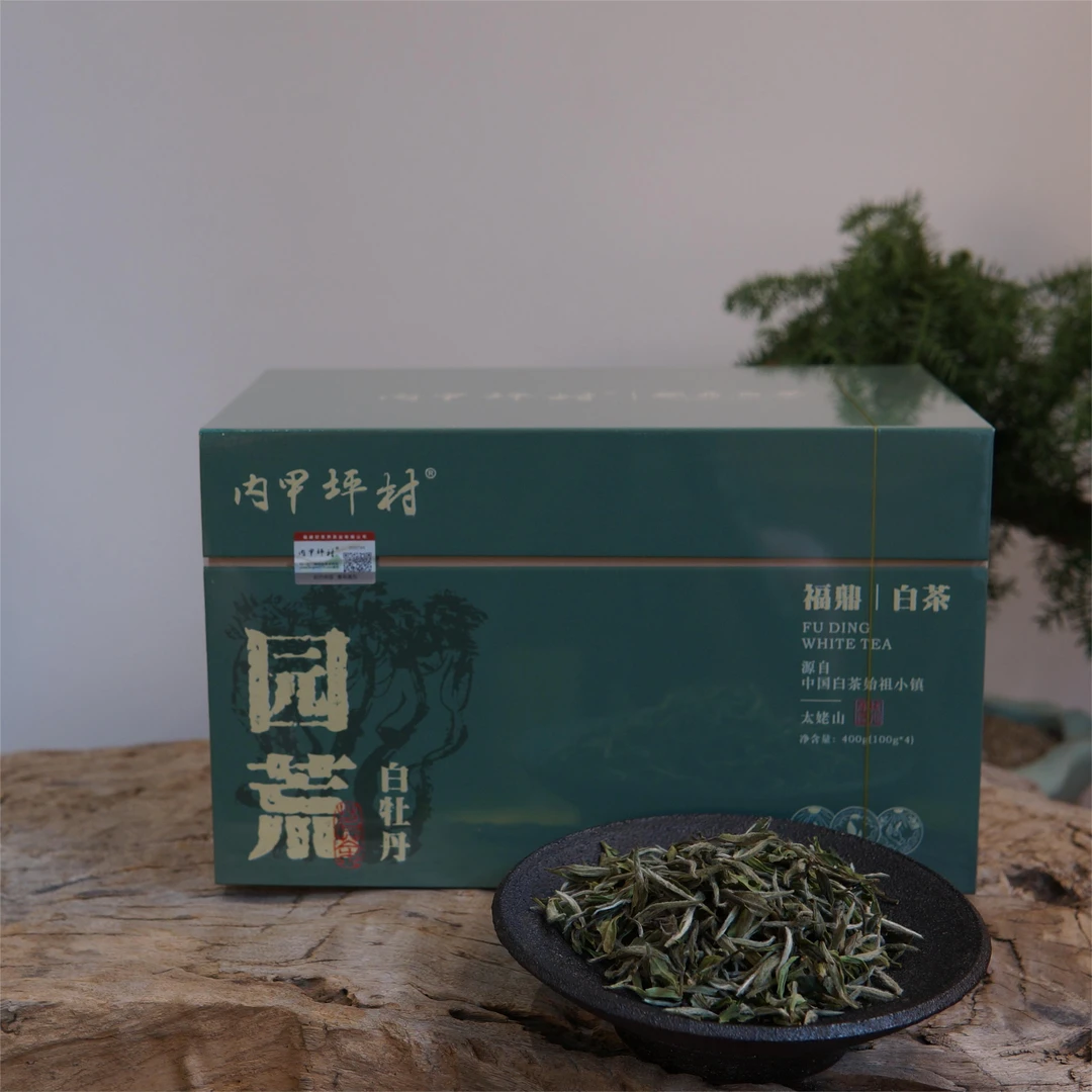 【园荒系列】2023年特级白牡丹荒放茶花香甜度高