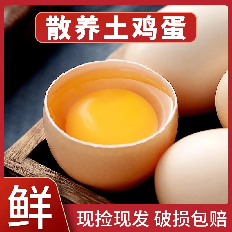 新店福利4枚现捡林下新鲜散养土鸡蛋农家绵密自养草鸡蛋土鸡蛋