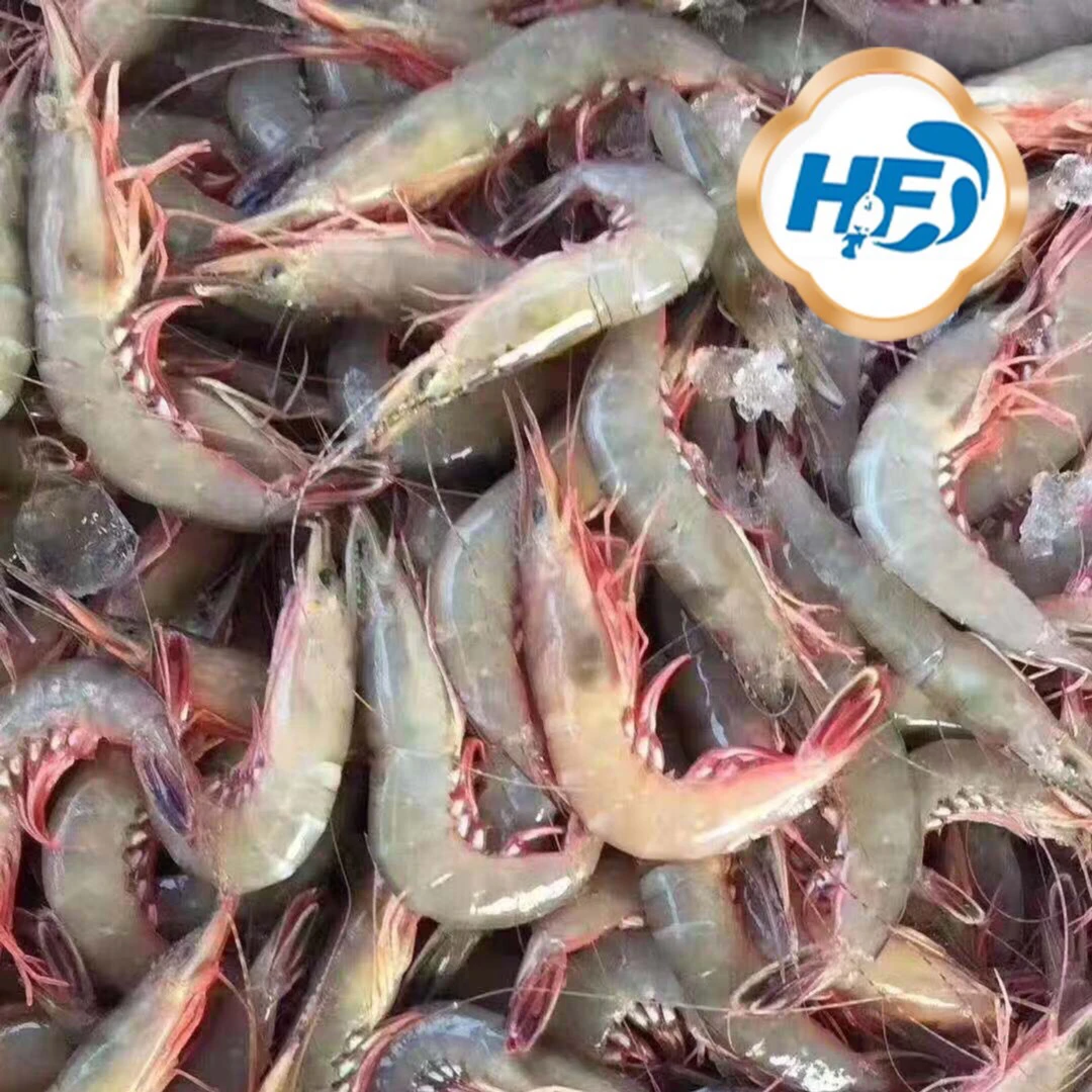 福建地区野生海鲜滑皮虾（剑虾）3斤起寄顺丰
