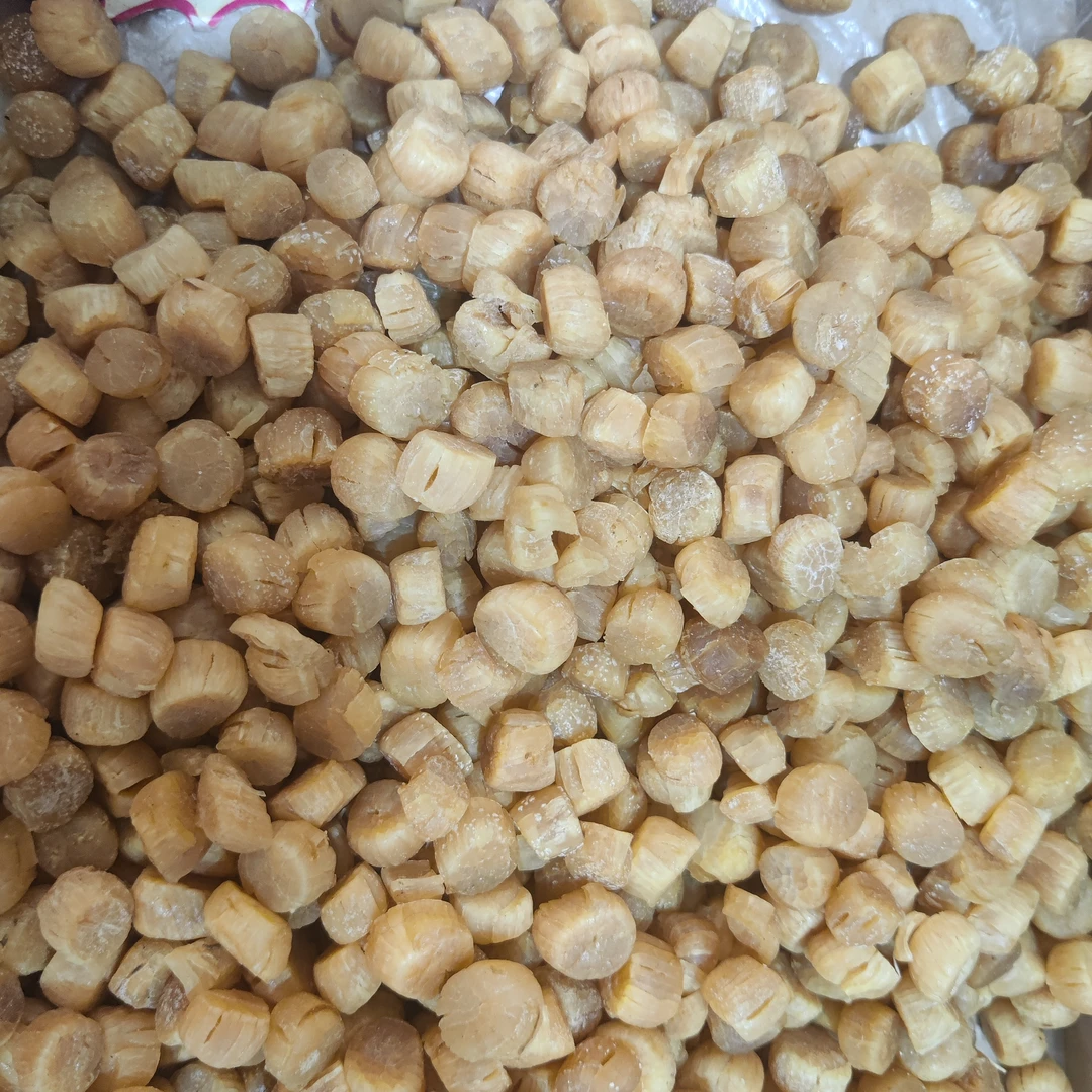 大连元贝 300头 干