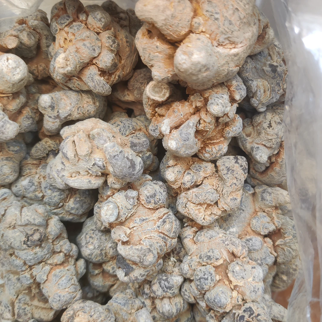 天田天七 百合干