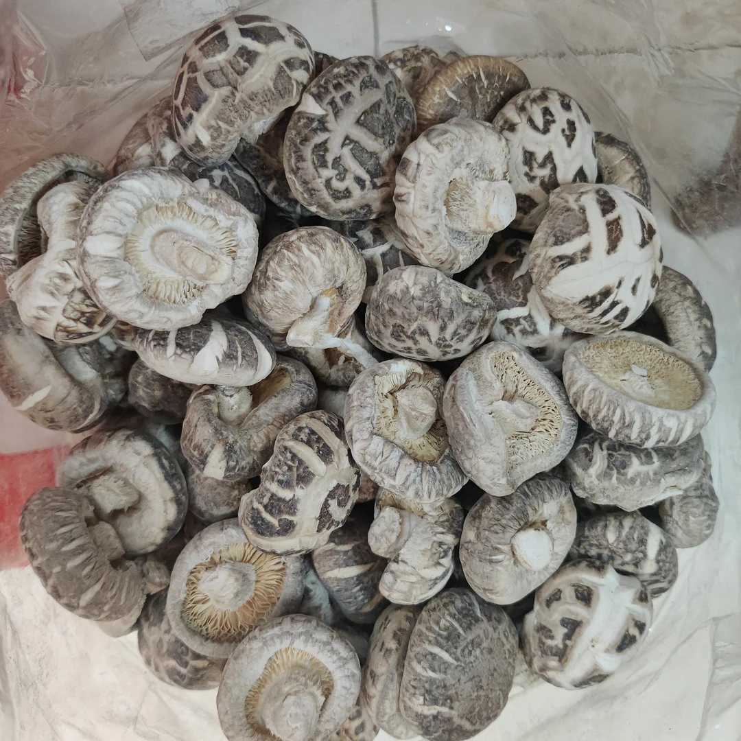 大花菇肉质肥美爽滑