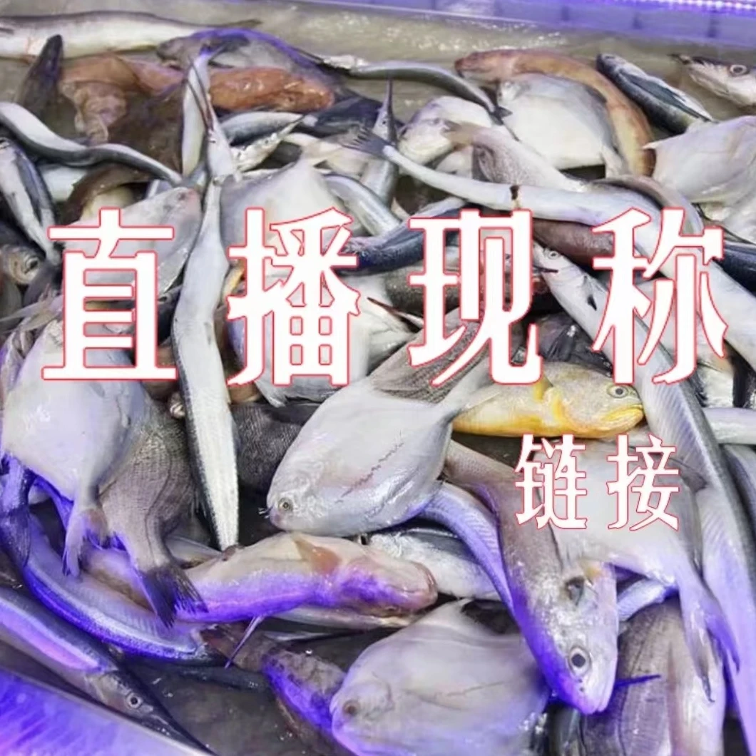 鳕鱼大头星  直播间现场称重海鲜产品改价