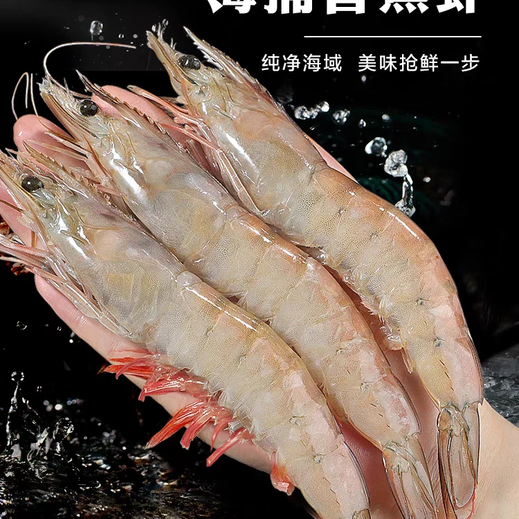 青岛本地海捕新鲜海水大虾顺丰包邮