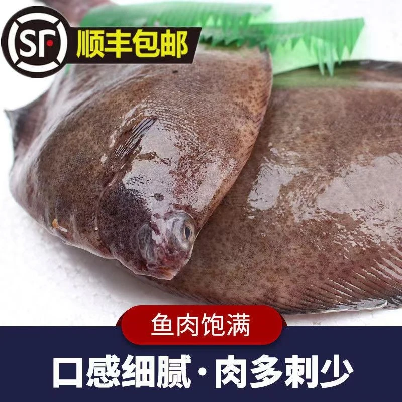 青岛本地特中号鼓眼鱼〖一斤10条左右〗  肉质鲜美 顺丰冷链发货
