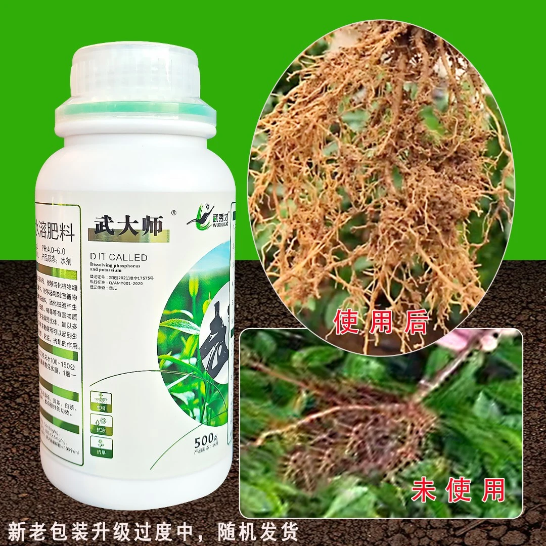 武大师茶树使用移栽抗冻抗旱抗逆水溶肥促进生长 生根剂 升级根系