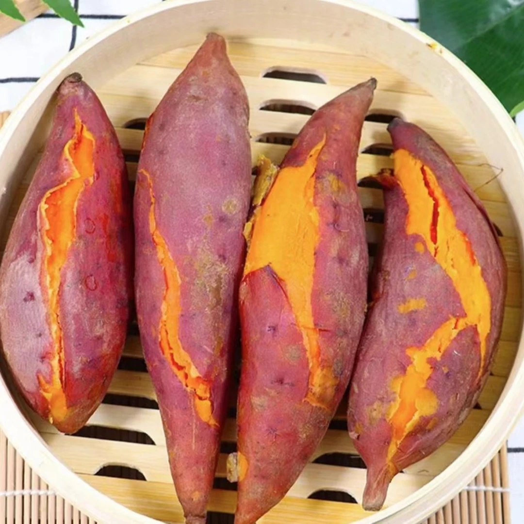 河南新鲜西瓜红蜜薯3/4.5斤装地瓜 软糯香甜饱满烘烤