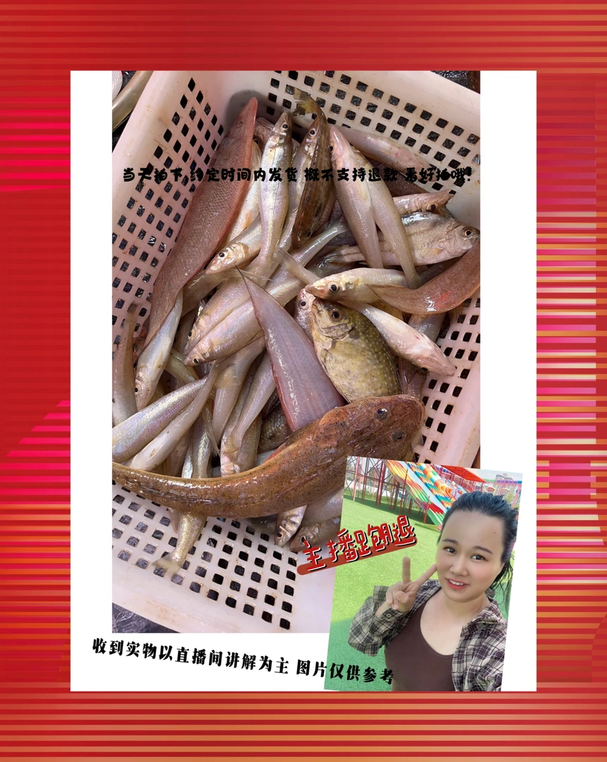 雅妹代买 广东阳江海陵岛 渔船捕捞的海鲜 图片供参考 与直播为准