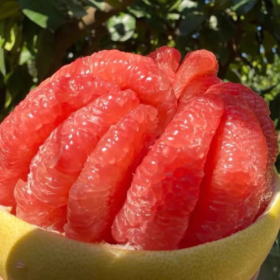 『福建』三红蜜柚红心蜜柚（2颗约6斤）