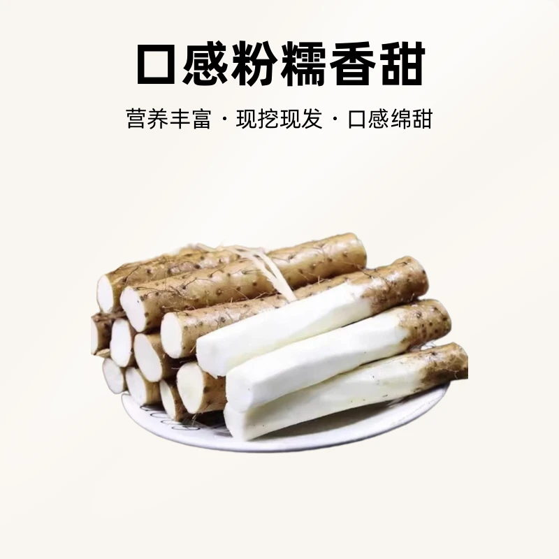 【优质30CM左右5斤】正宗河南焦作垆土铁棍怀山药软糯温县产地直发