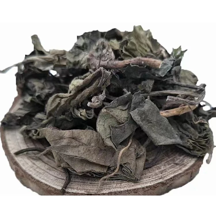 跑山阿红丨苕叶【细辛草】新货草根    芪