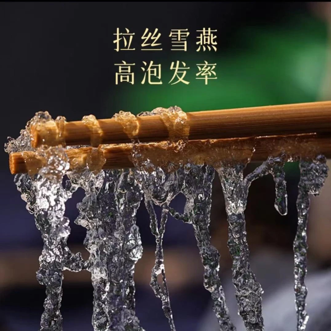 跑山阿红【雪燕】一定有树屑