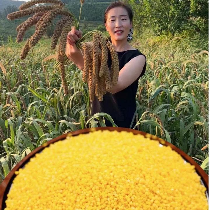 孙祖山地小米净重五斤