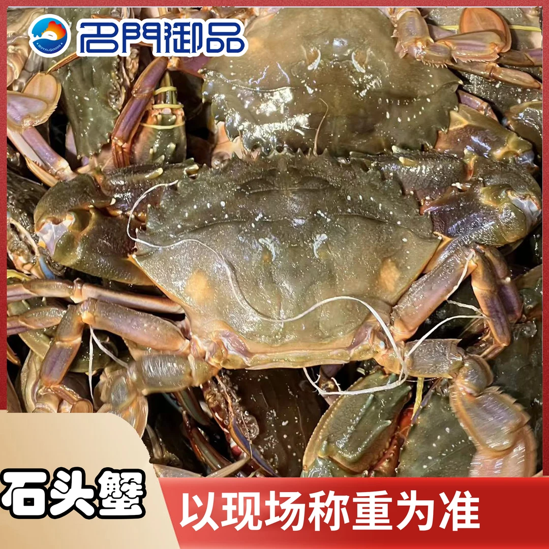 【睡着石头蟹】福建省内可拍母蟹有带籽1两以上一只【保鲜不保活】斤
