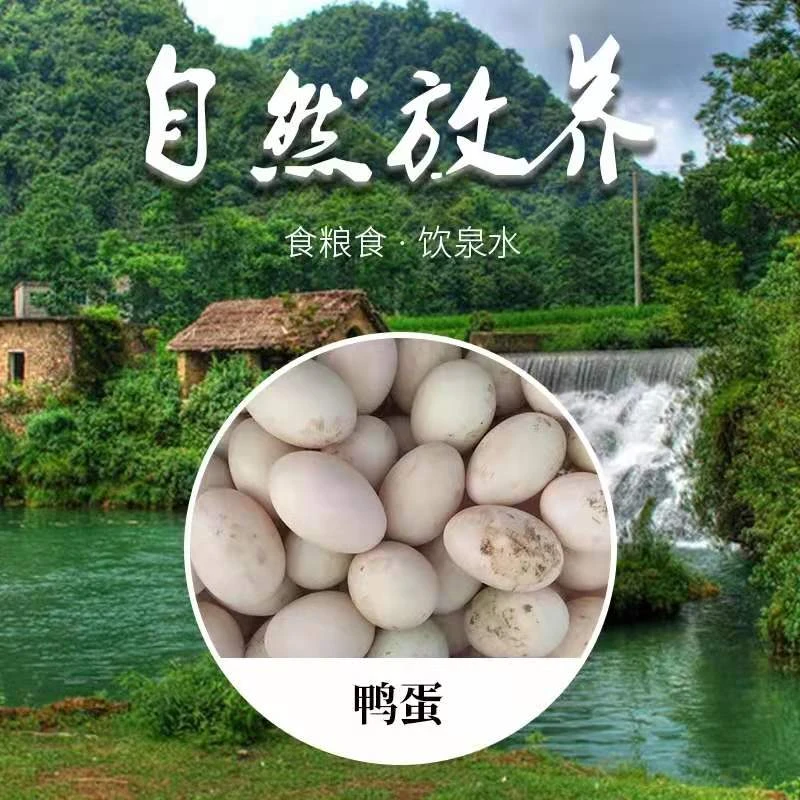 【顺丰】新鲜20枚农家散养鲜鸭蛋五谷杂粮喂养土鸭蛋55克-60克/枚