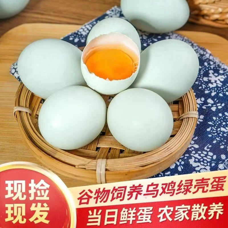 正宗散养农家乌鸡蛋50枚绿壳土鸡蛋新鲜健康营养 月子蛋绿壳蛋