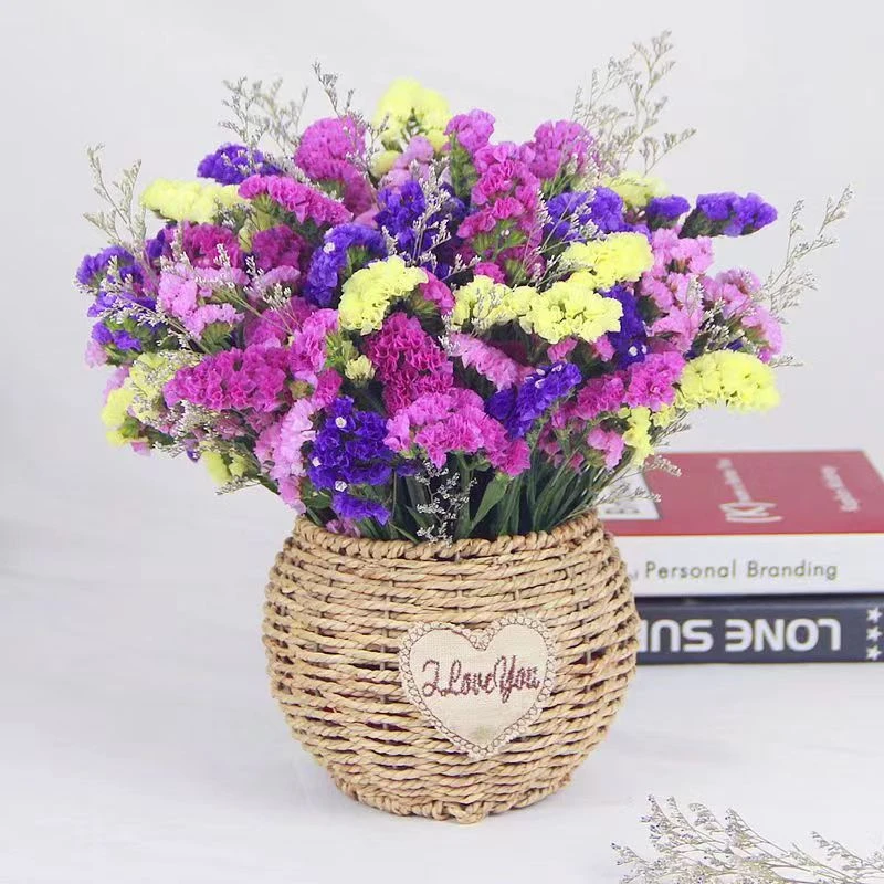 【勿忘我花束+花篮+配草】勿忘我天然干花新鲜发货收到半干自然风干