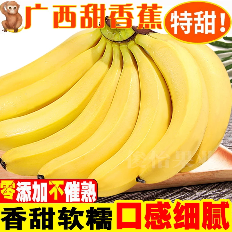 【星域鲜果】广西甜香蕉香甜软糯产地直发巴马寿乡特产粉蕉2/5/9斤