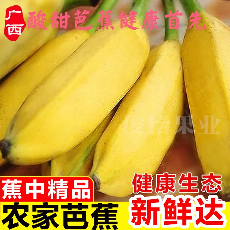 G农家大芭蕉牛角蕉产地直发广西鲜水果香蕉生态香蕉自然1/5/9斤