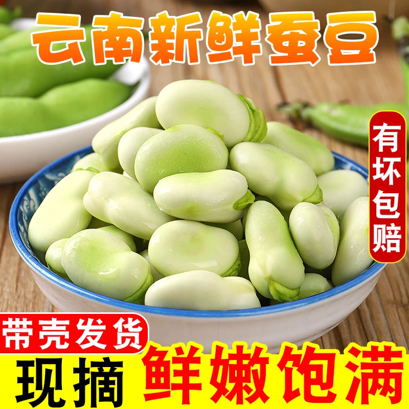 云南新鲜蚕豆颗粒饱满农家自种带壳罗汉兰花胡豆青豆荚蔬菜现摘