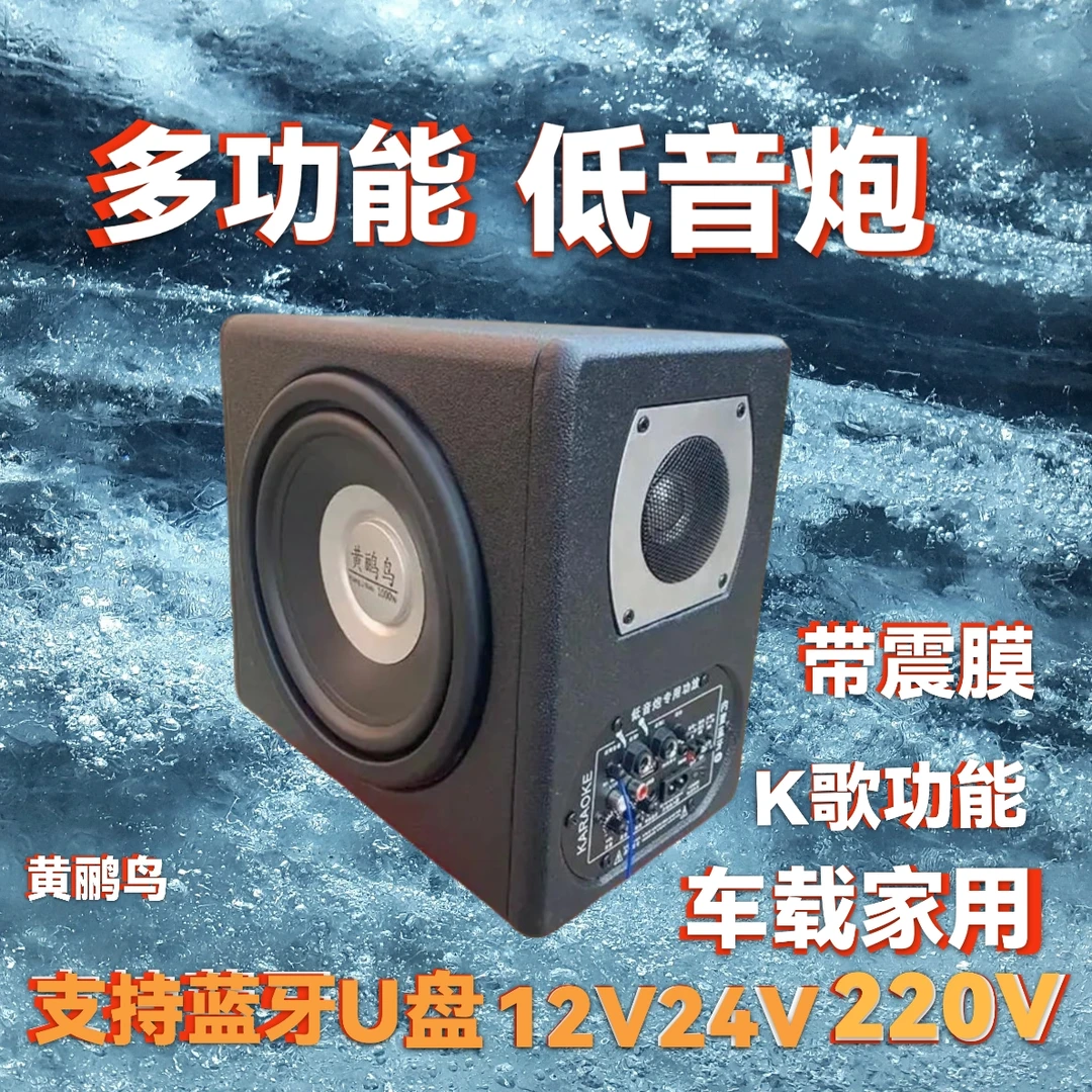 黄鹂鸟8寸12V24V220V通用大功率车载K歌家用低音炮重低音蓝牙音箱