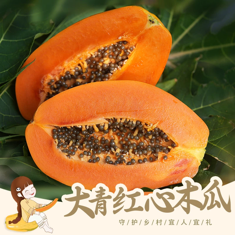 【京东包邮】海南红心牛奶冰糖木瓜软糯香甜多汁产地直发果香四溢