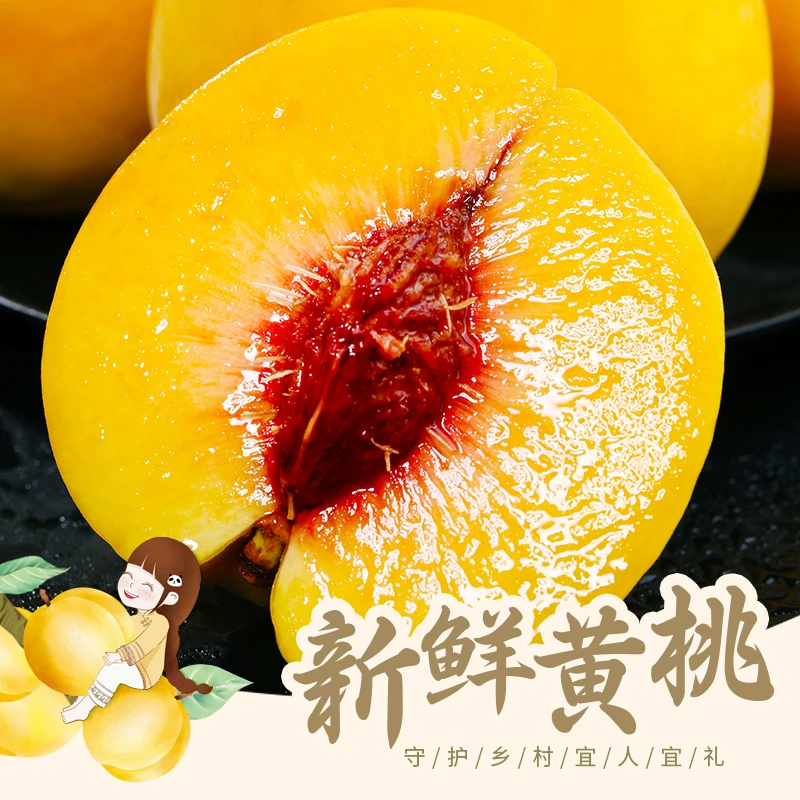【吕支书专属】四川新鲜采摘奶油黄桃香甜鲜嫩可软可脆【京东直发】