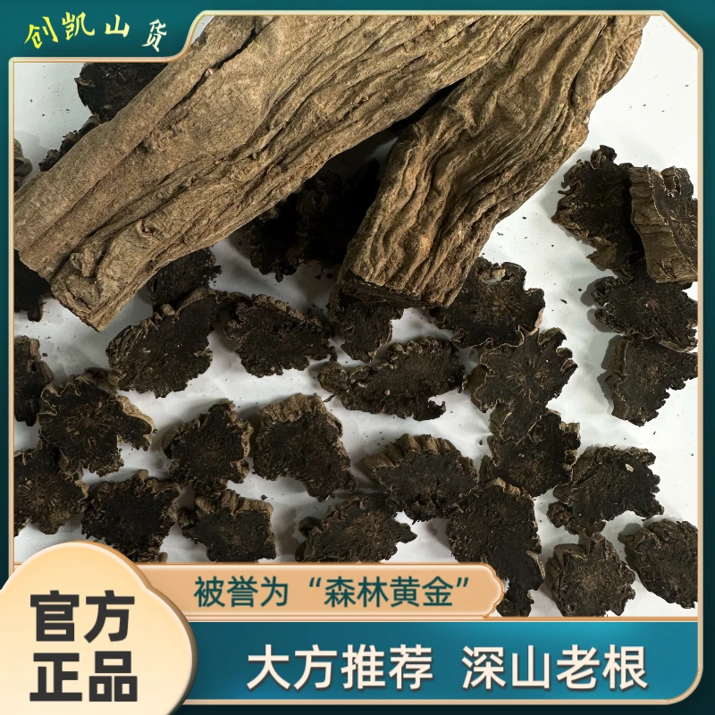 深山黑金参植物等根类植物健康养生选择