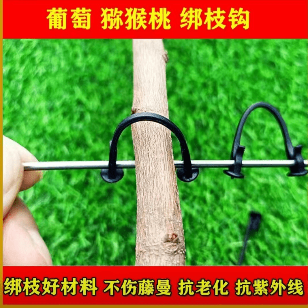 葡萄绑枝卡卡扣猕猴桃树苗卡子塑料挂钩枝条固定耐用耐晒质保五年