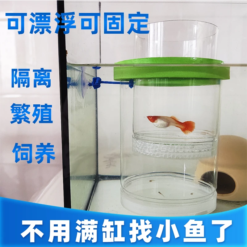 孔雀鱼繁殖盒鱼缸隔离孵化器小鱼苗漂浮产房