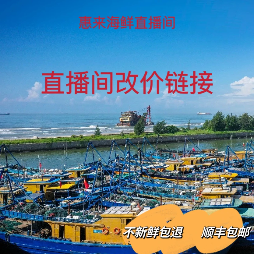 【惠来神泉港】广东海鲜福利单  直播间混搭3-12斤