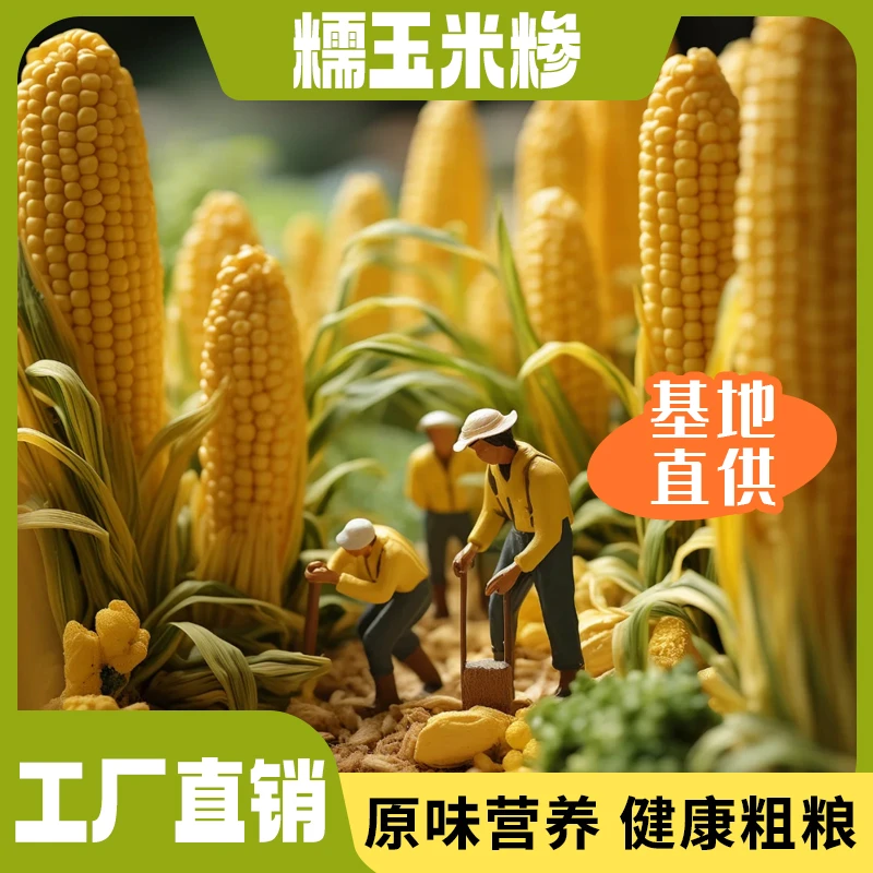 青稞玉米碴东北玉米碴  玉米碴子 五常特产  工厂直发