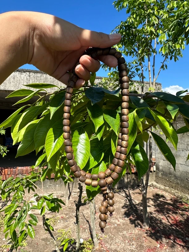 沉香奇楠08鼓珠双圈12克➕多样性发一