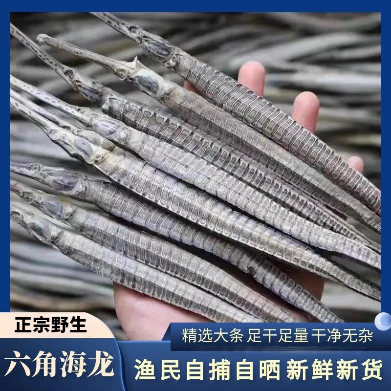 六角大海龙 新鲜晾晒大海龙 渔民晾晒无硫海龙鱼干泡酒煲汤料