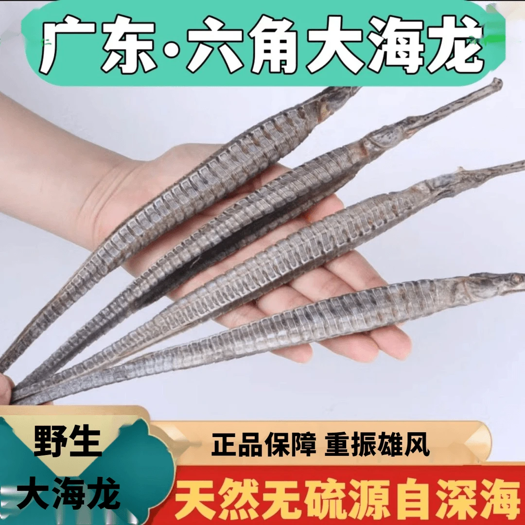 正宗生大海龙干货公母一对泡酒煲汤六角大海龙滋补正货天然晾晒
