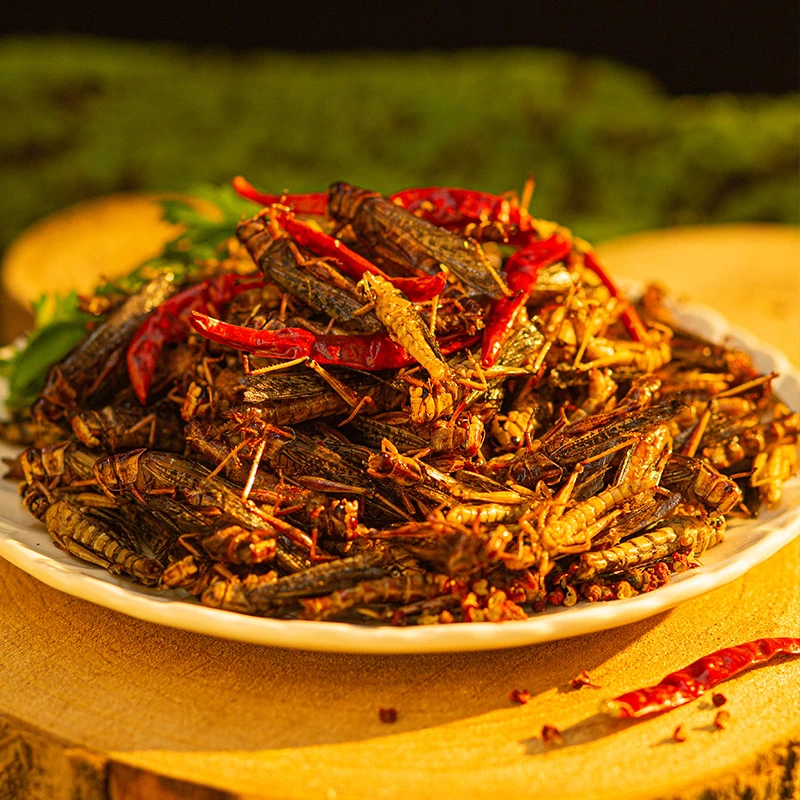 蚂蚱食材冷冻半成品正宗冬娜蚂蚱零食烧烤下酒菜香酥