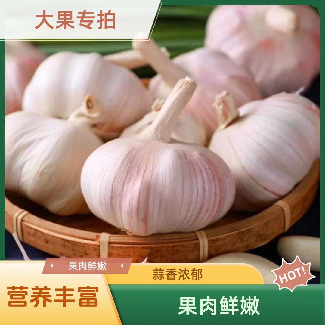 山东紫白皮干大蒜2024山东金乡大蒜，多瓣蒜鲜嫩辛辣农家蒜