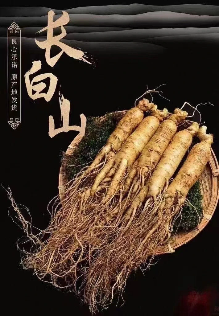【长白山】原产地 刚出土鲜人参 20/25支一斤