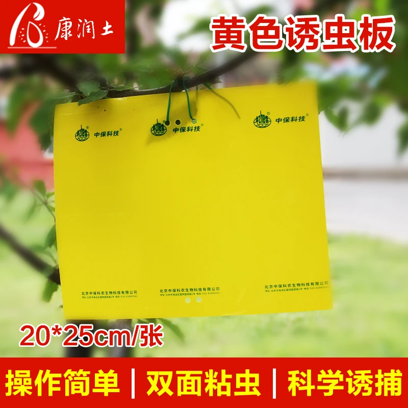 黄板蓝板粘虫板蓟马纸贴飞虫小黑飞果园花园沾果蝇诱捕器粘板大棚