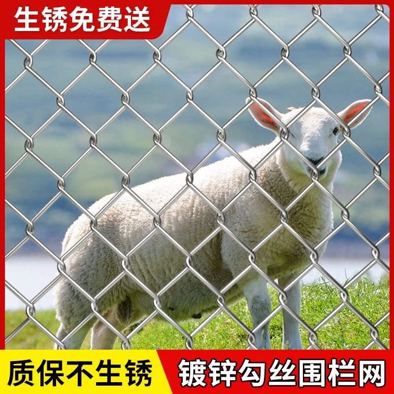 1.5米高热镀锌铁丝网围栏钢丝网勾花网养殖鸡羊狗果园防护护栏网