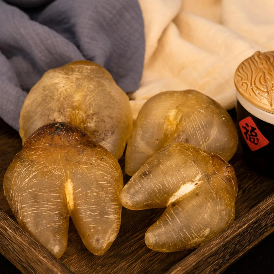 【河上公】广东鱼胶花胶鸡泡胶