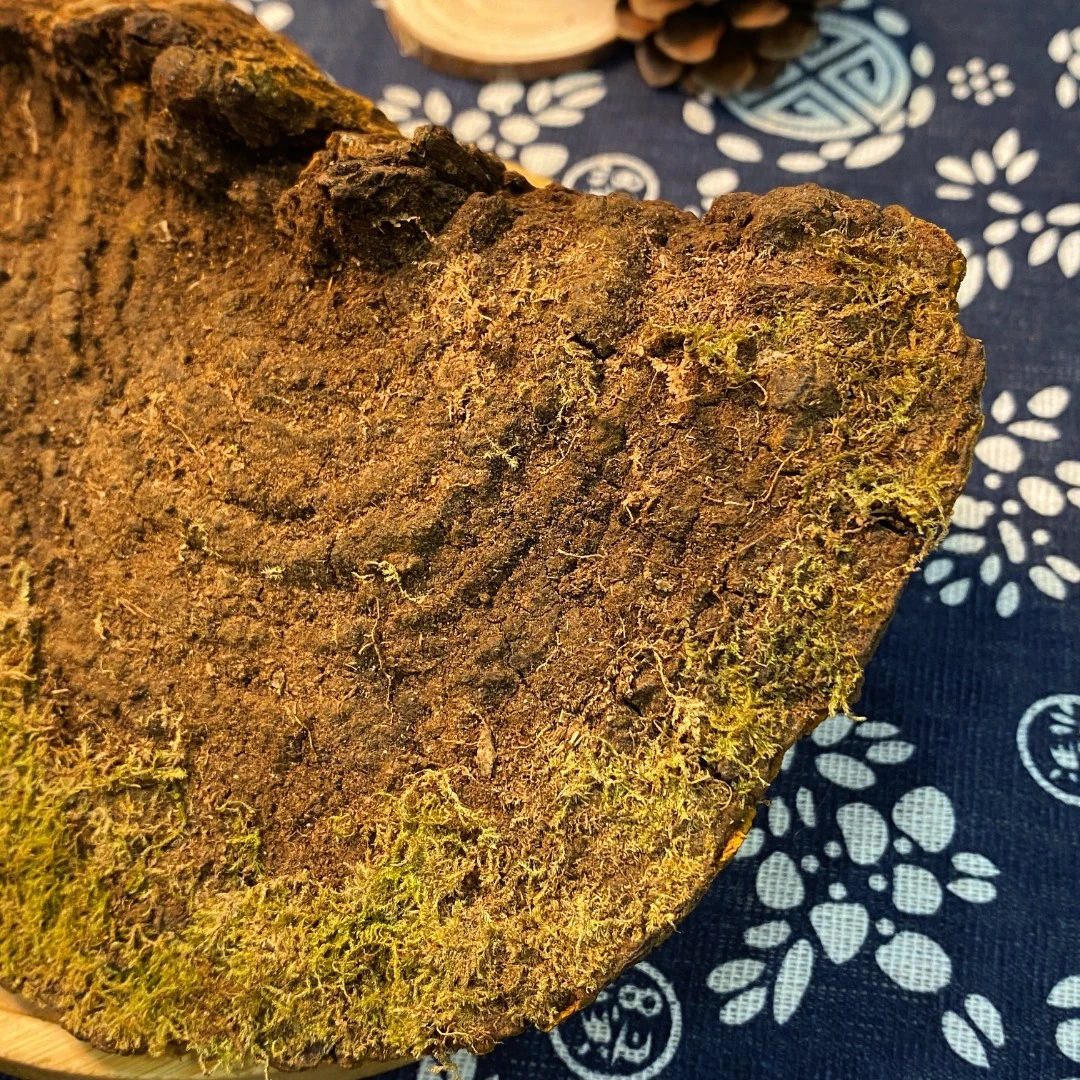 【河上公】鱼胶 正宗桑树嗓黄西藏墨脱煮水煲汤